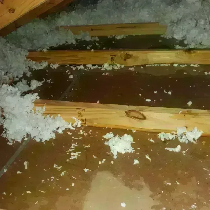 Attic Water Damage in Colonie, NY